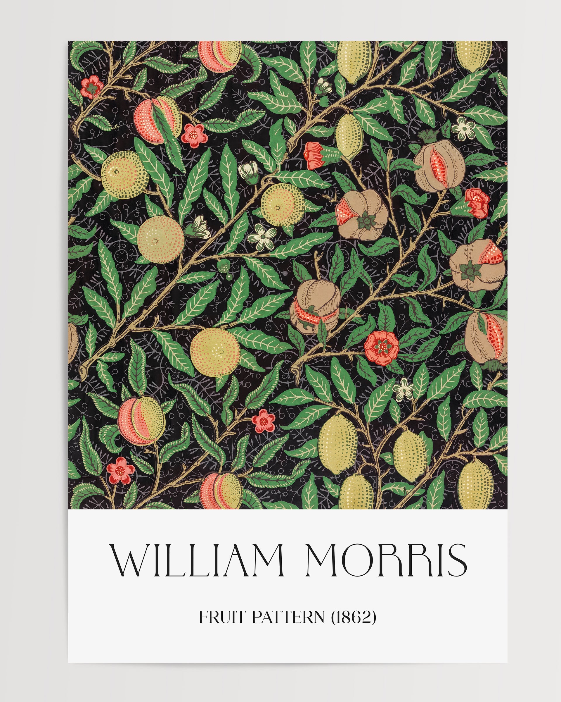 Fruit pattern (1862) The Poster Square
