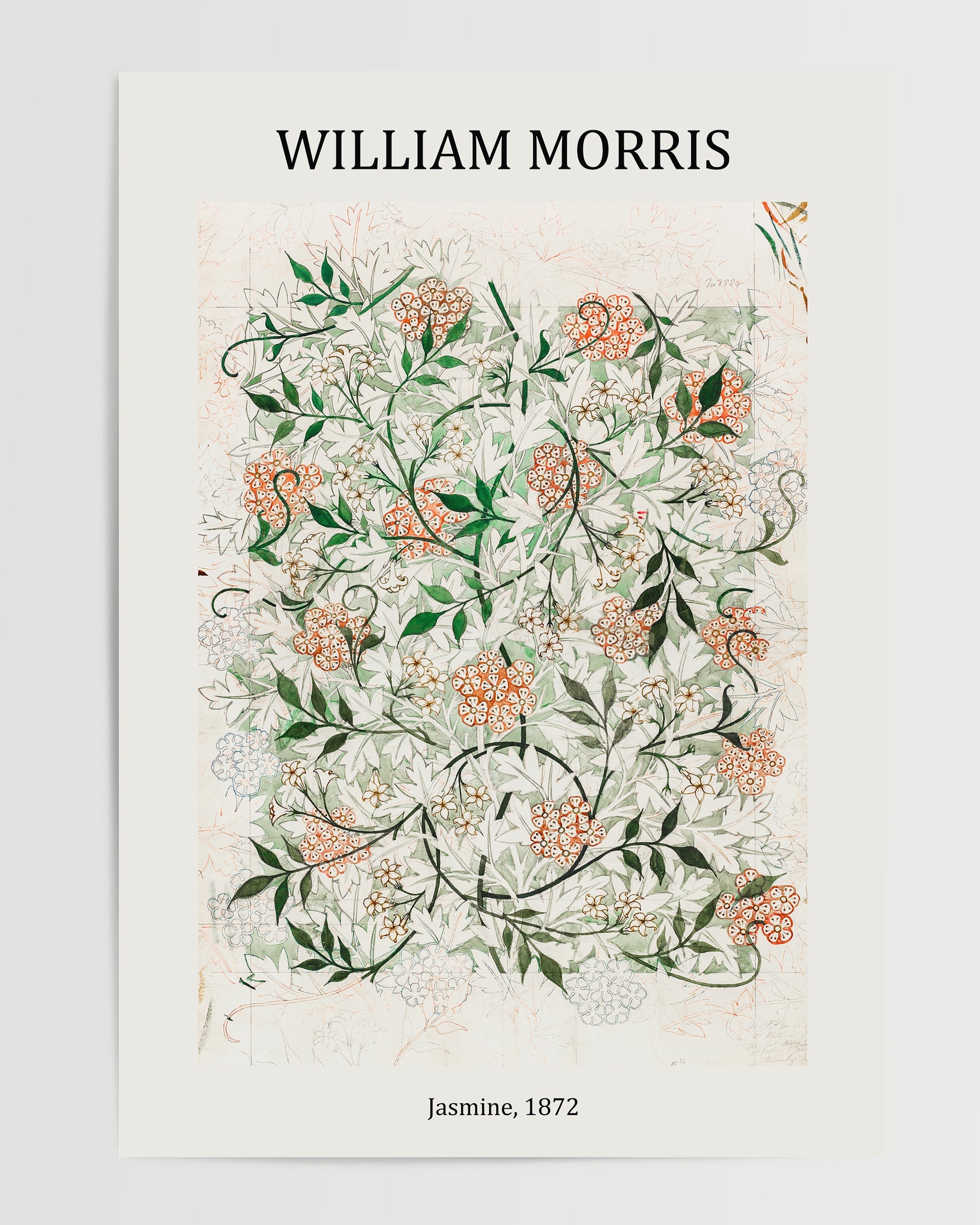 Jasmine Pattern The Poster Square